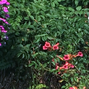 ?????????????????????????????????????????????????????????